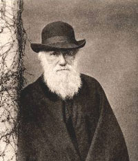 Charles Darwin revolucionó las ciencias naturales y sociales de su época, y la vigencia de sus teorías llega a nuestros días.